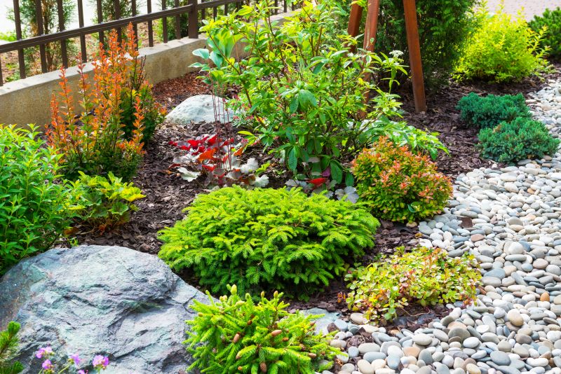 Yard Xeriscaping