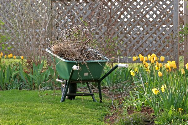 Flower Bed Cleanup Service in Arvada