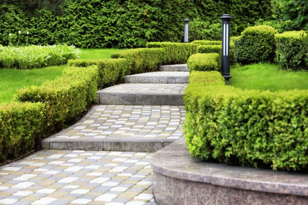 Backyard Remodeling in Arvada