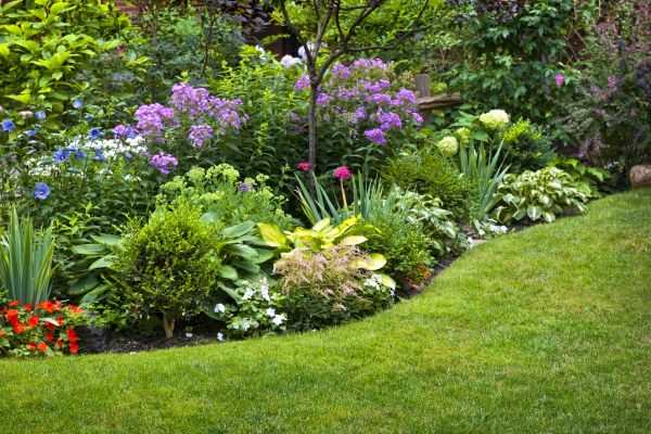 Flower Bed Service in Arvada