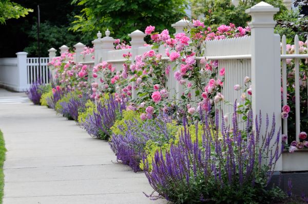 Garden Handyman Service in Arvada