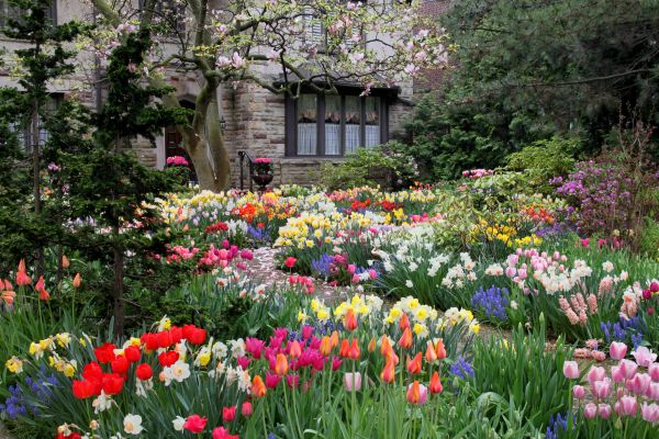Garden Maintenance Service in Arvada