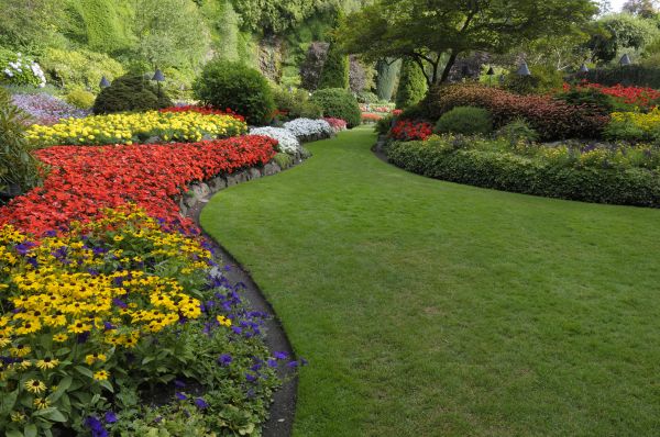 Landscaping Maintenance in Arvada