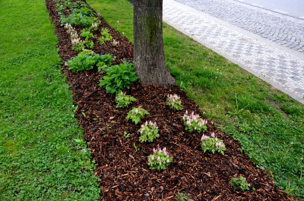 Mulch Replacement Service in Arvada