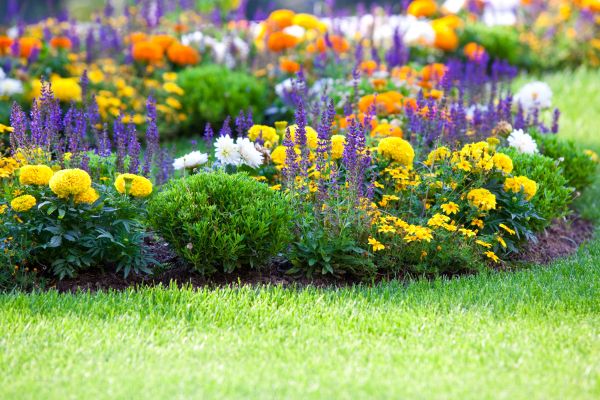 Garden Installation in Arvada