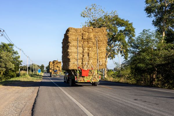 Pine Straw Delivery in Arvada