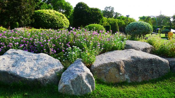 Boulder Landscaping in Arvada