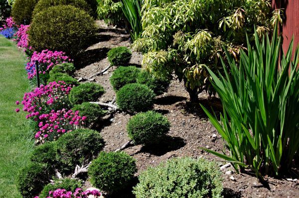Residential Gardening in Arvada
