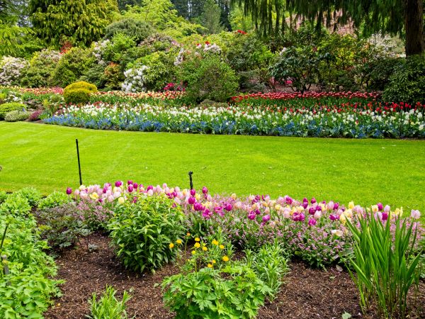 Residential Landscape Design in Arvada