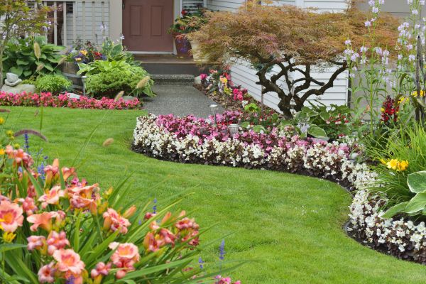 Perennial Landscaping in Arvada
