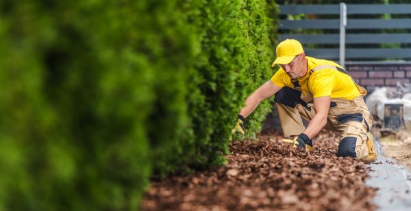 Cypress Mulch Installation in Arvada