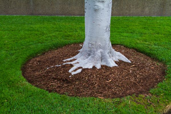 Brown Mulch Installation in Arvada