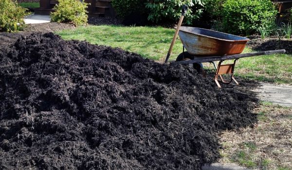 Black Mulch Installation in Arvada