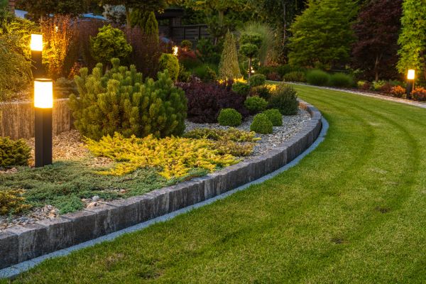 Garden Repair Service in Arvada