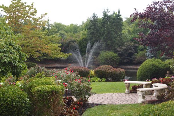 Courtyard Design Service in Arvada