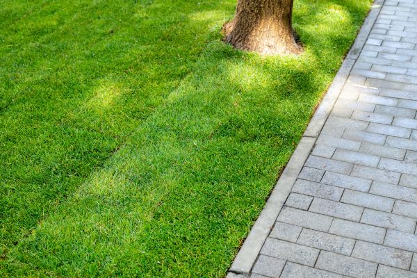 Border Stone Installation in Arvada