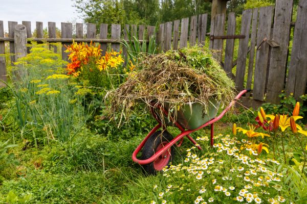 Garden Cleanup Service in Arvada