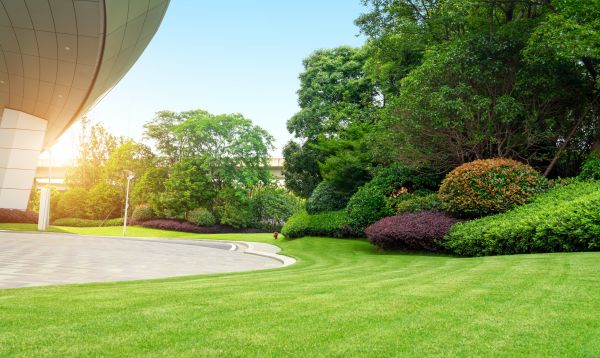 Business Landscape Design in Arvada