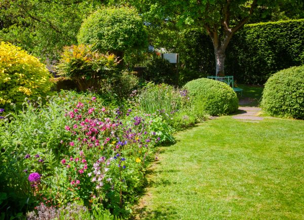 Yard Landscaping Service in Arvada