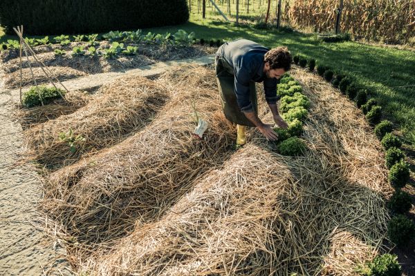 Straw Mulching Service in Arvada