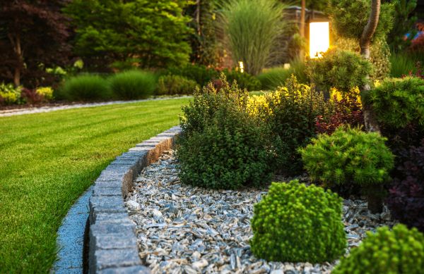 Landscaping Service in Arvada