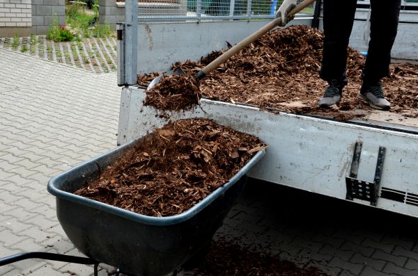 Landscape Mulch Delivery in Arvada