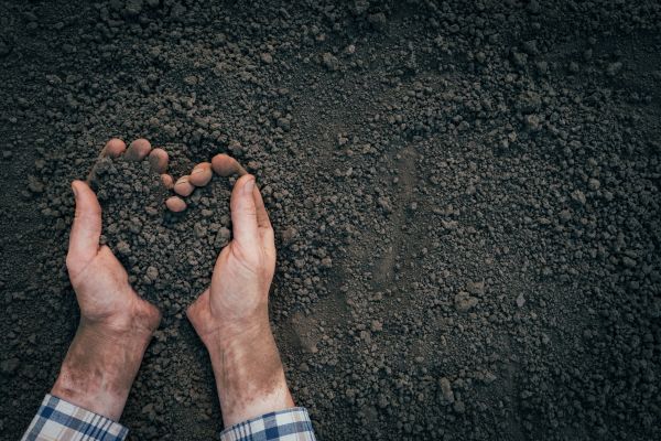 Soil Installation in Arvada