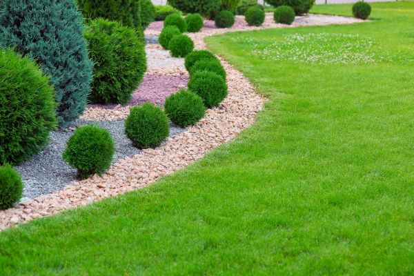 Edging Stones Installation in Arvada