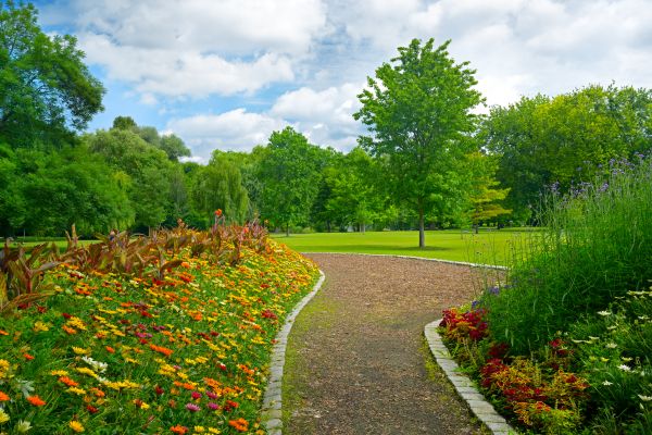 Park Landscaping in Arvada