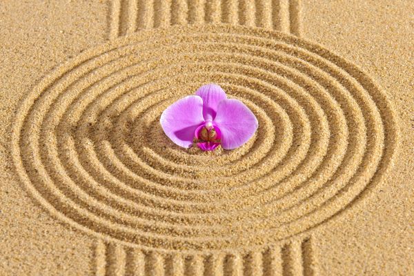 Sand Garden Landscaping in Arvada