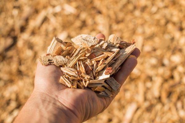 Wood Chips Spreading in Arvada