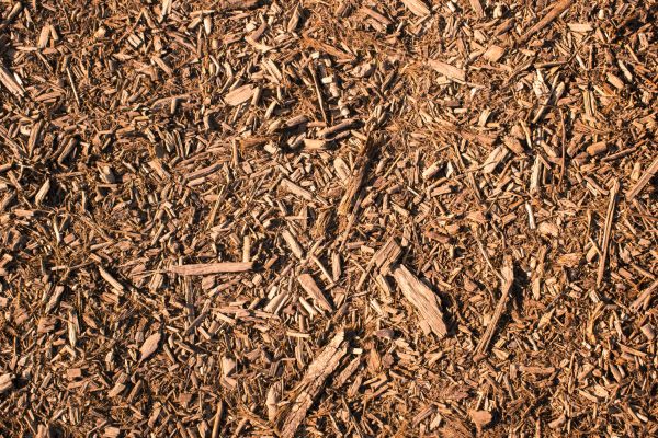 Wood Chips Removal in Arvada