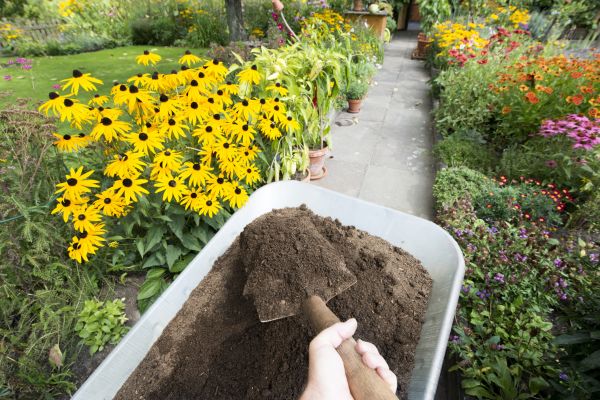 Topsoil Replacement in Arvada