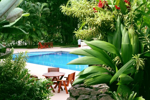 Pool Area Landscaping in Arvada