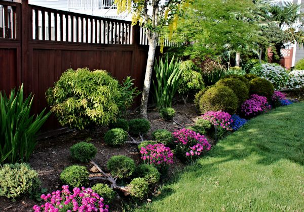 Garden Bed Construction in Arvada