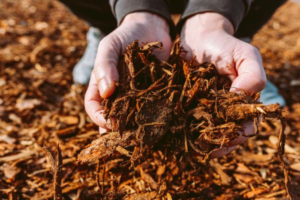 Bark Chips Delivery in Arvada