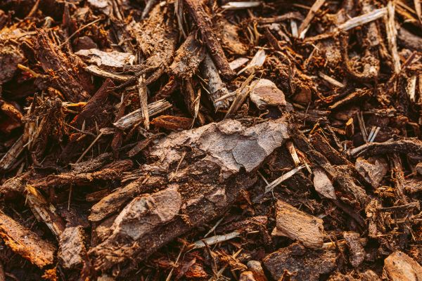 Bark Mulch Delivery in Arvada