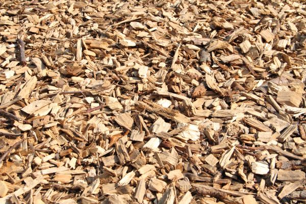 Wood Mulch Delivery in Arvada