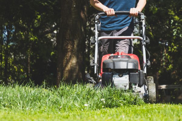 Garden Trimming Service in Arvada
