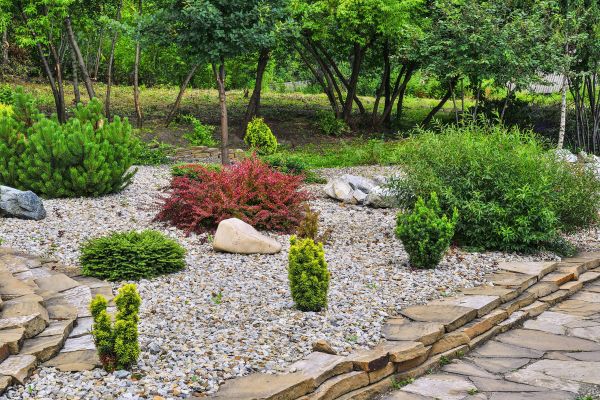 Hardscape Landscaping in Arvada