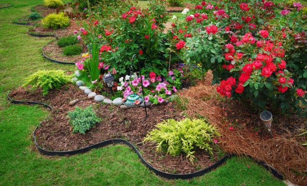Floral Landscaping in Arvada