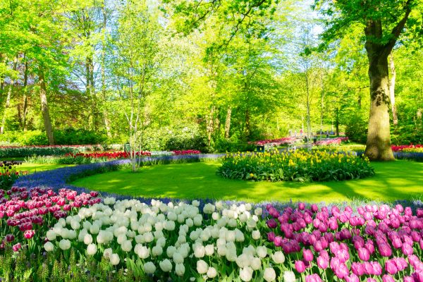 Flower Landscaping in Arvada