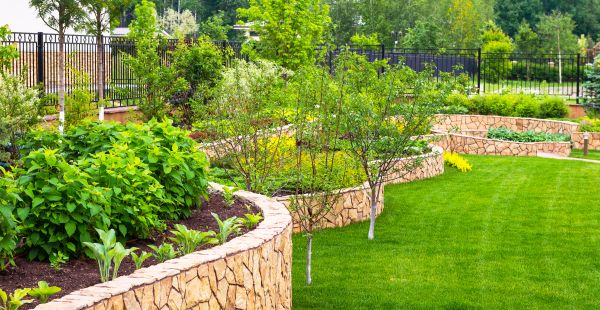 Yard Makeover Service in Arvada