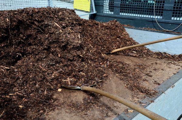 Cedar Bark Delivery in Arvada