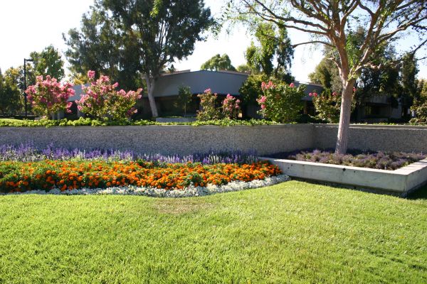 Commercial Landscape Service in Arvada