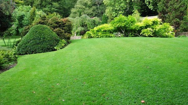 Commercial Landscape Design in Arvada