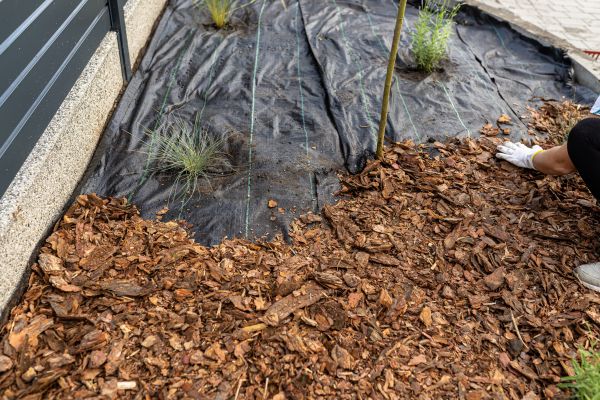 Pine Bark Spreading in Arvada