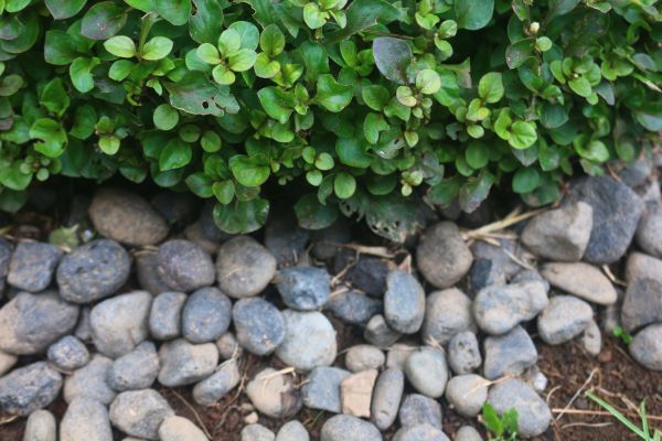 River Stone Installation in Arvada
