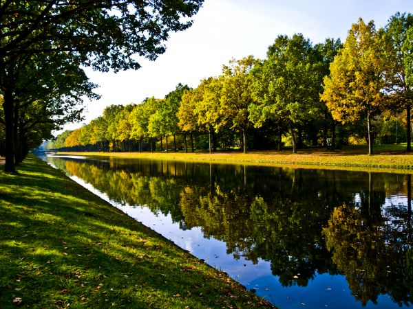 Bank Landscaping in Arvada
