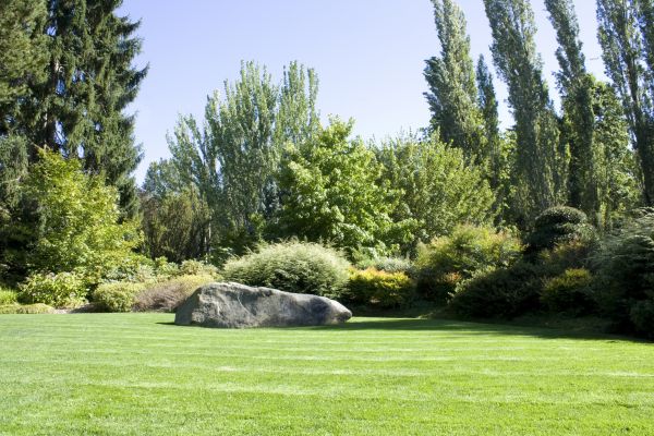 Yard Enlargement in Arvada